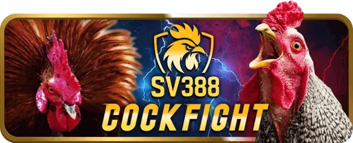 Cá cược bóng rổ tại 33win6